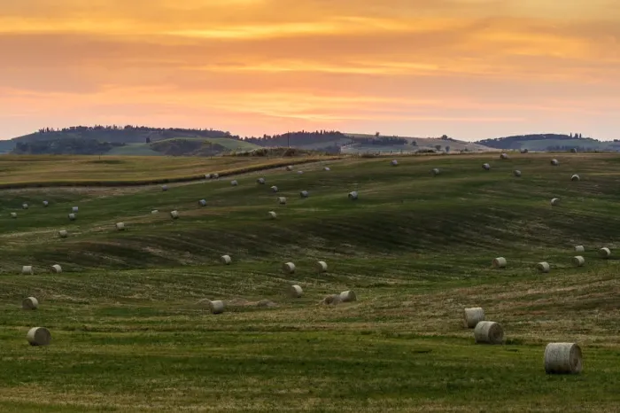 Framed Print : Sunset in Tuscan fields