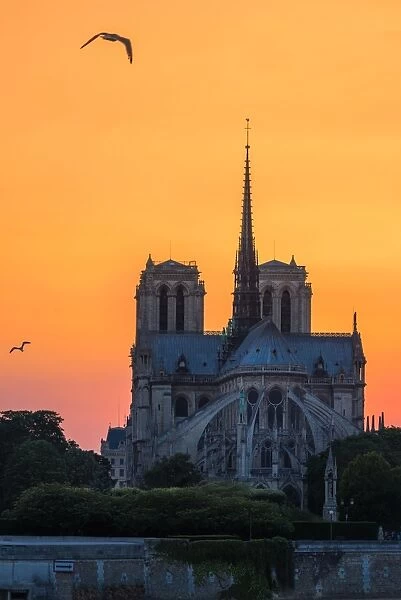 Sunset view of Notre Dame cathedral