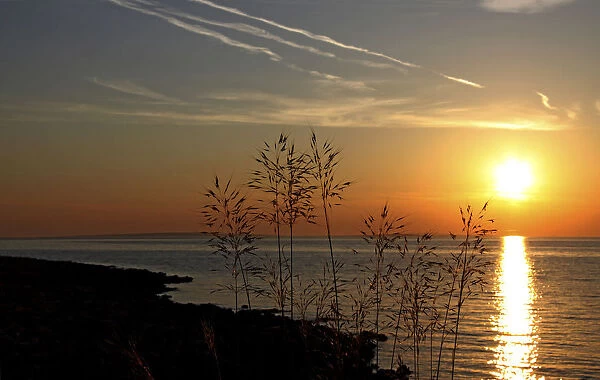 Sunset, Vir Island, Dalmatia, Croatia, Europe