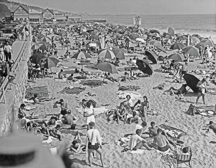 Framed Print : Sunsoaked In Santa Monica