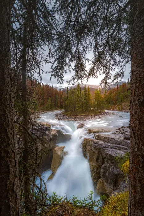 Framed Print : sunwapta fall in Jasper national park Framed Print : sunwapta fall in Jasper national park