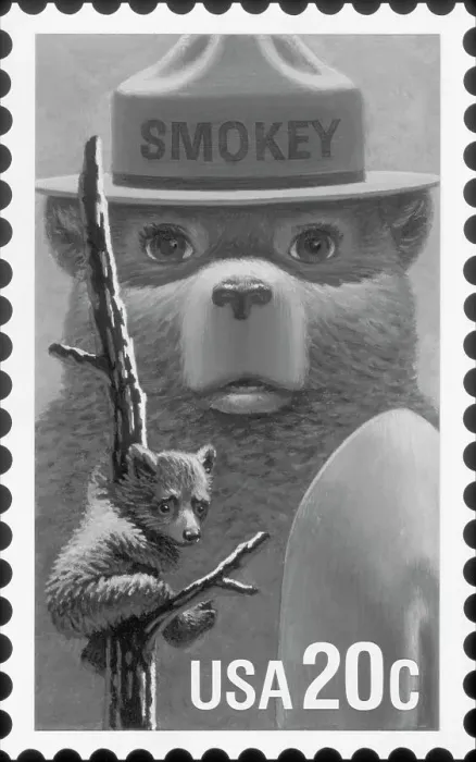Framed Print : Superimposed Bear Images Advertising Forest Fires Framed Print : Superimposed Bear Images Advertising Forest Fires