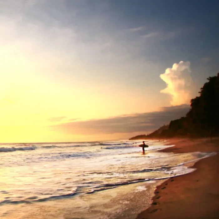 Framed Print : Surfer stands in ocean watching sunset on beach Framed Print : Surfer stands in ocean watching sunset on beach