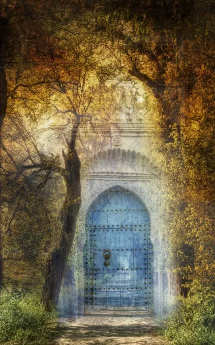 Framed Print : Surreal door Framed Print : Surreal door