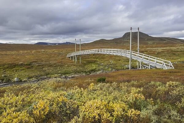 Suspension bridge, Vindelfjaellen, Vaesterbotten County, Sweden