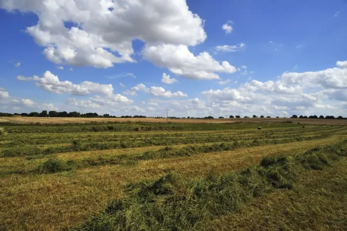 Framed Print : Swathed hay, cloudy sky with cumulus clouds, Gross Runz, Mecklenburg-Western Pomerania, Germany Framed Print : Swathed hay, cloudy sky with cumulus clouds, Gross Runz, Mecklenburg-Western Pomerania, Germany