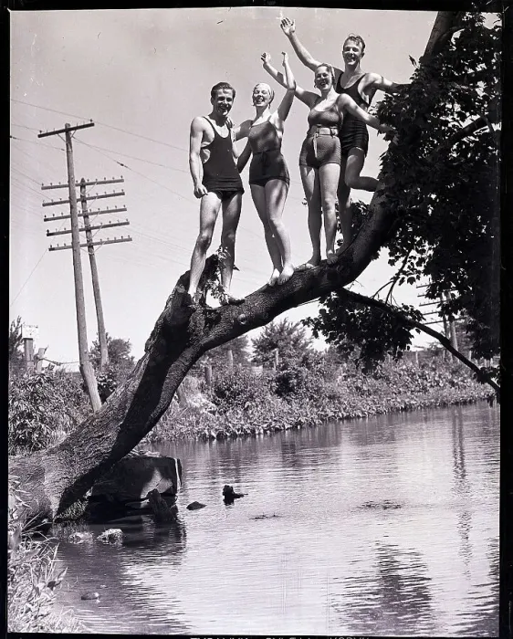 Framed Print : Swimmers Standing on Tree Branch