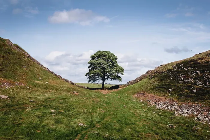 Framed Print : Sycamore Gap, Hadrians Wall, Northumberland, UK