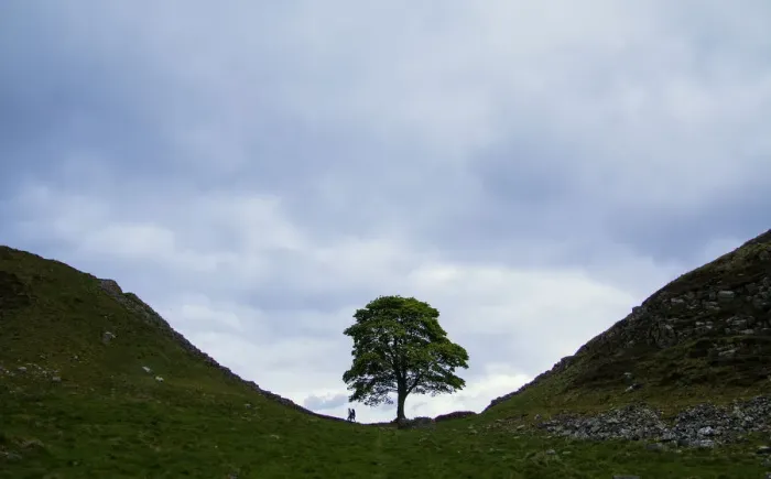 Framed Print : Sycamore gap, iconic place along Hadrians wall, England