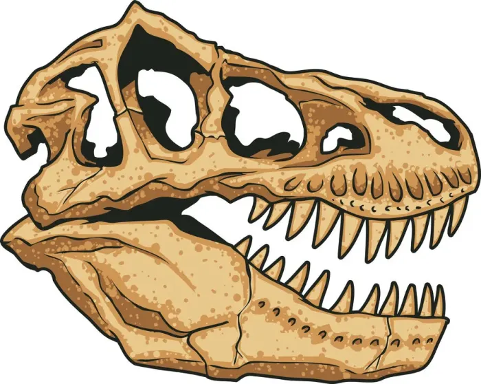 Framed Print : T-Rex Skull Illustration Framed Print : T-Rex Skull Illustration
