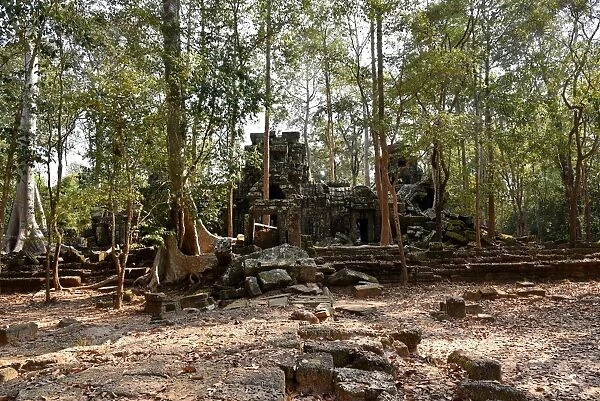 Ta Nei temple Angkor Siem Reap Cambodia