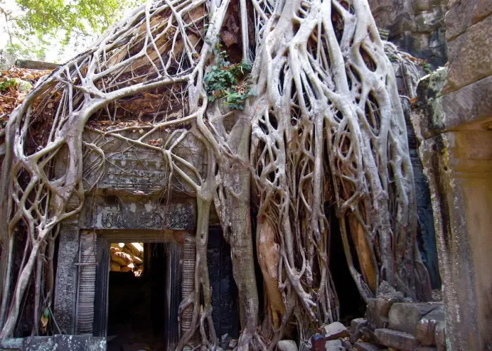 Framed Print : Ta Phrom temple, Angkor