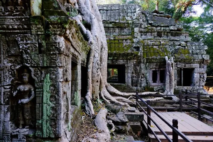 Framed Print : Ta Prohm, Angkor, Siem Reap, Cambodia Framed Print : Ta Prohm, Angkor, Siem Reap, Cambodia