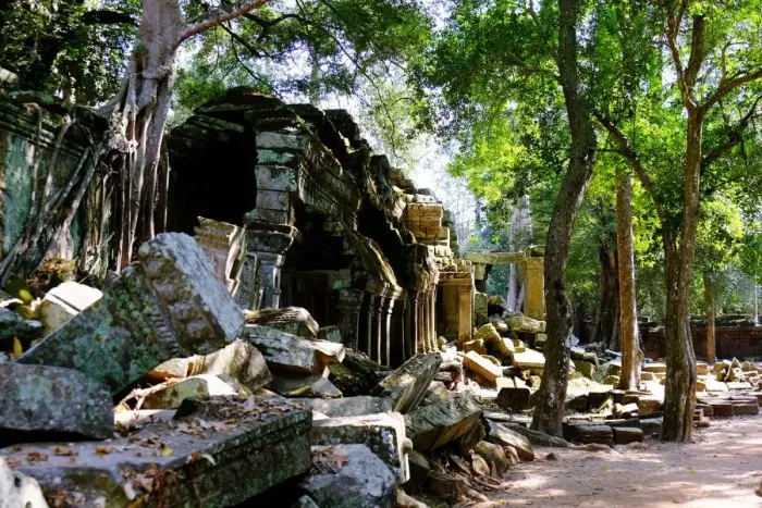 Framed Print : Ta Prohm, Angkor, Siem Reap, Cambodia Framed Print : Ta Prohm, Angkor, Siem Reap, Cambodia