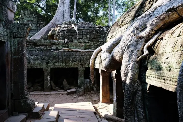 Framed Print : Ta Prohm, Angkor, Siem Reap, Cambodia Framed Print : Ta Prohm, Angkor, Siem Reap, Cambodia