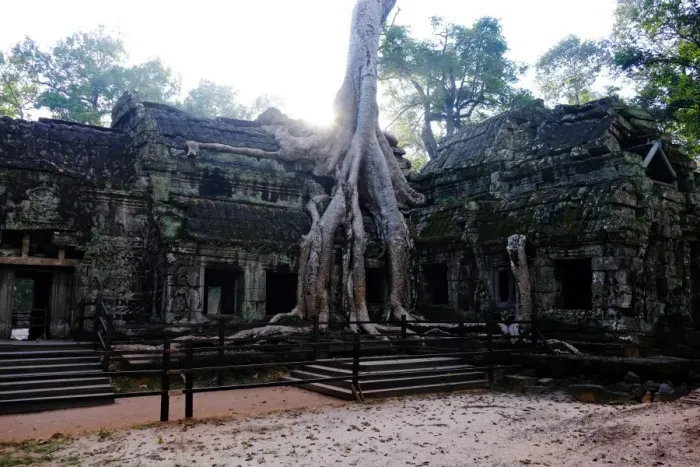 Framed Print : Ta Prohm, Angkor, Siem Reap, Cambodia Framed Print : Ta Prohm, Angkor, Siem Reap, Cambodia