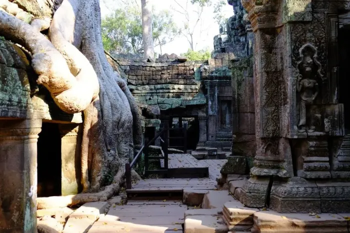 Framed Print : Ta Prohm, Angkor, Siem Reap, Cambodia Framed Print : Ta Prohm, Angkor, Siem Reap, Cambodia