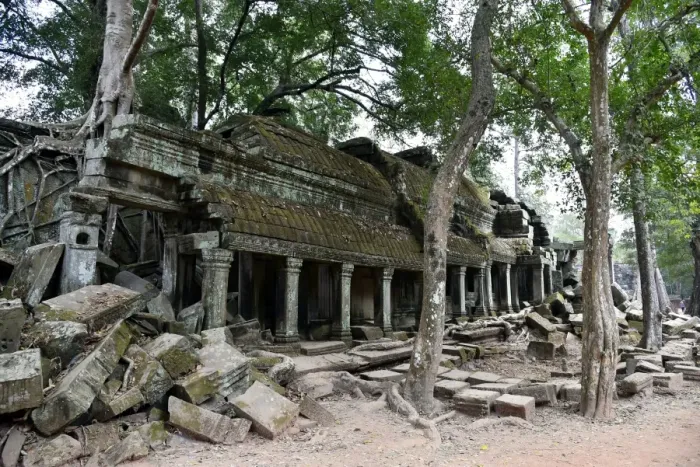 Framed Print : Ta Prohm Angkor temple Siem Reap Cambodia Framed Print : Ta Prohm Angkor temple Siem Reap Cambodia