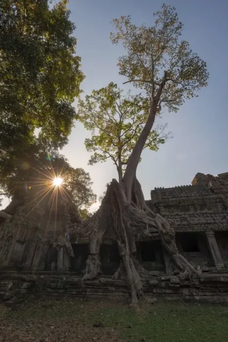 Framed Print : Ta Prohm Angkor Wat Cambodia Framed Print : Ta Prohm Angkor Wat Cambodia