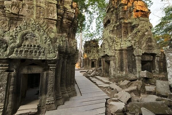 Ta Prohm jungle temple, Siem Reap, Cambodia
