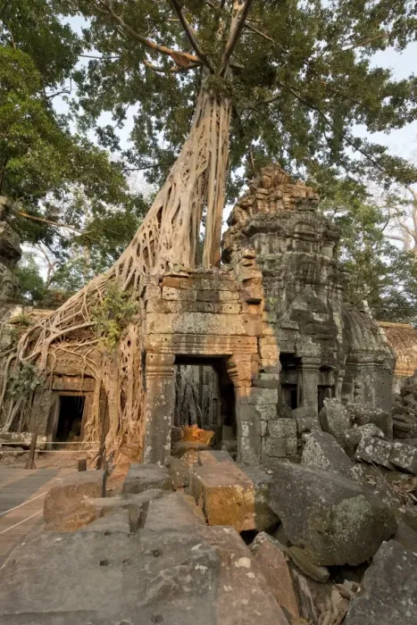 Framed Print : Ta Prohm jungle temple, Siem Reap, Cambodia Framed Print : Ta Prohm jungle temple, Siem Reap, Cambodia