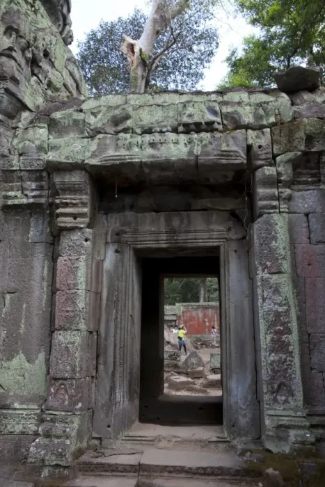 Framed Print : Ta Prohm Ruins Framed Print : Ta Prohm Ruins