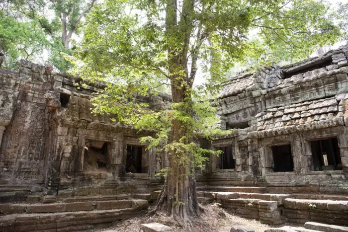 Framed Print : Ta Prohm Temple Framed Print : Ta Prohm Temple