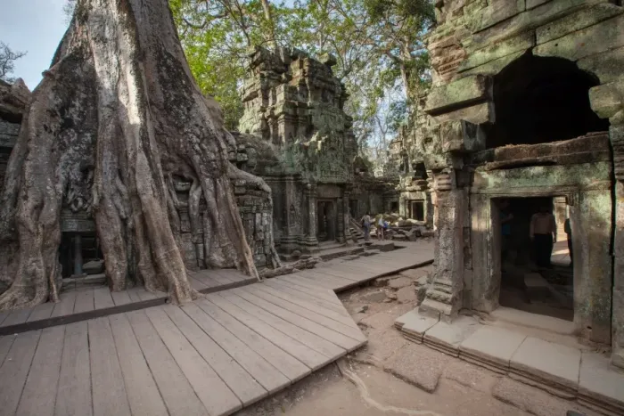 Framed Print : Ta Prohm Temple, Angkor, Cambodia Framed Print : Ta Prohm Temple, Angkor, Cambodia