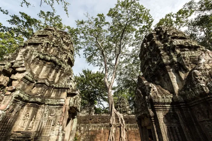 Framed Print : Ta Prohm Temple in Angkor, Cambodia Framed Print : Ta Prohm Temple in Angkor, Cambodia