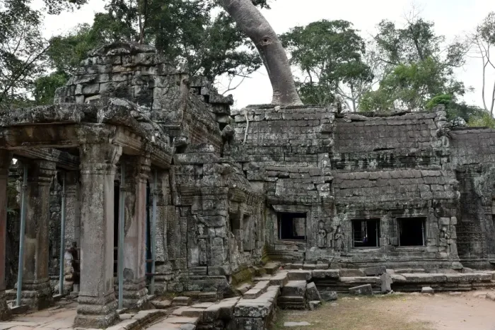 Framed Print : Ta Prohm temple Angkor Cambodia Framed Print : Ta Prohm temple Angkor Cambodia