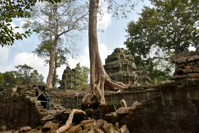 Framed Print : Ta Prohm temple Angkor Cambodia