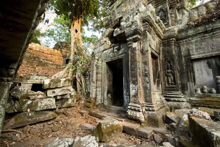 Framed Print : Ta Prohm temple, Angkor Wat, Siem Reap Framed Print : Ta Prohm temple, Angkor Wat, Siem Reap