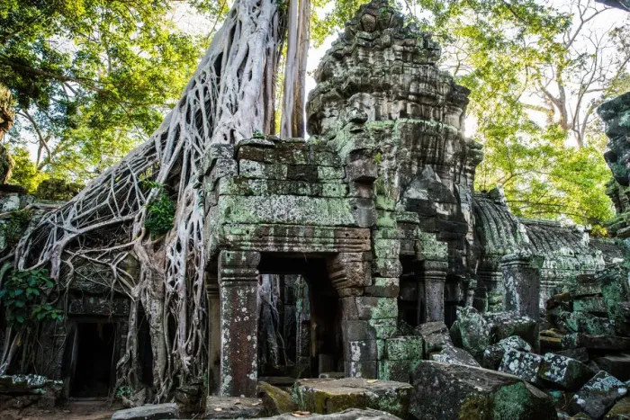 Framed Print : Ta Prohm Temple Angkor Wat Siem Reap Cambodia