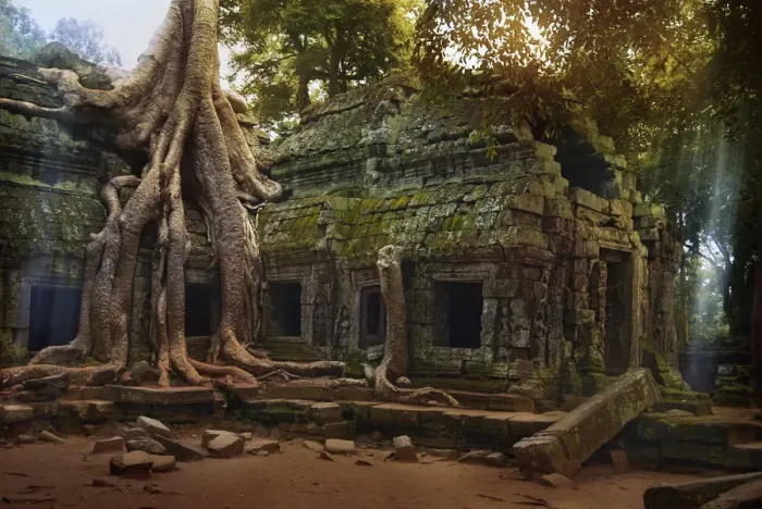 Framed Print : Ta Prohm Temple in Cambodia Framed Print : Ta Prohm Temple in Cambodia
