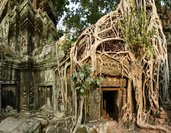 Framed Print : Ta Prohm Temple, Khmer Empire, Cambodia