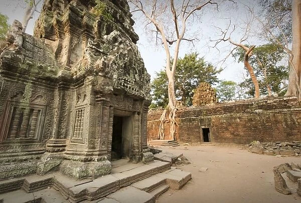 Ta Prohm temple, Khmer Empire, Cambodia
