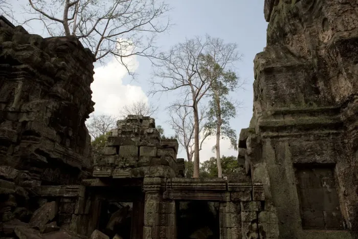 Framed Print : Ta Prohm Temple Ruins Framed Print : Ta Prohm Temple Ruins