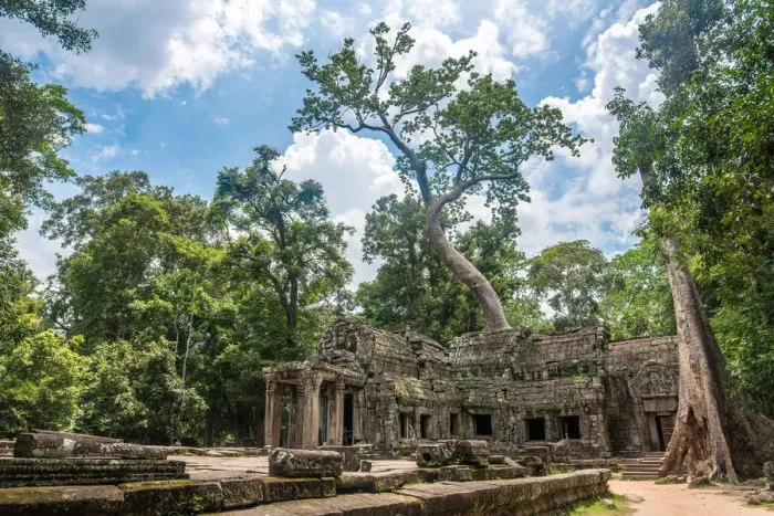Framed Print : Ta Prohm temple, Siem Reap, Cambodia Framed Print : Ta Prohm temple, Siem Reap, Cambodia