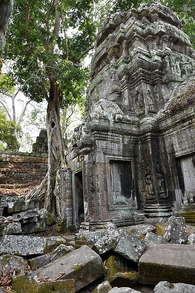 Ta Prohm temple trees entwine Angkor Cambodia