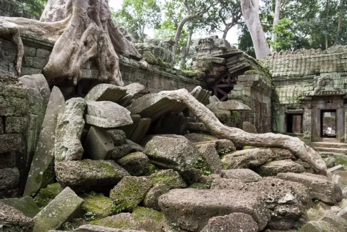 Framed Print : Ta Prohm temple wall overgrown with trees Framed Print : Ta Prohm temple wall overgrown with trees