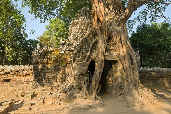 Ta Som temple entrance with strangler fig