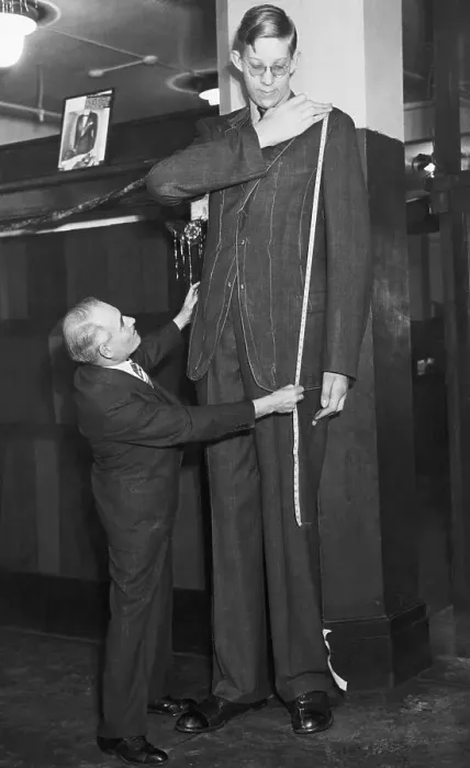 Framed Print : Tailor With Tallest Man, Robert Wadlow