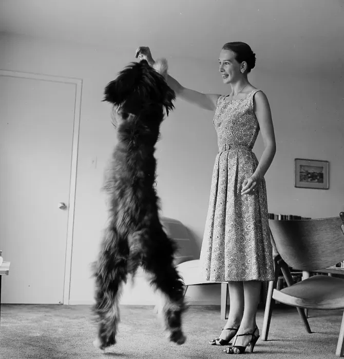 Framed Print : Taina Elg. LOS ANGELES - MAY 26, 1956: Actress Dancer Taina Elg poses at Framed Print : Taina Elg. LOS ANGELES - MAY 26, 1956: Actress Dancer Taina Elg poses at