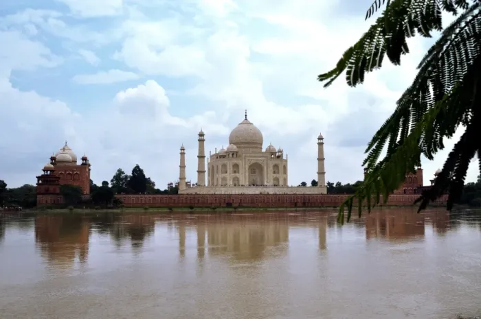 Framed Print : The Taj Mahal Framed Print : The Taj Mahal