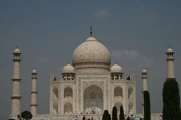 Taj Mahal. The front minaret merged nicely into a shrub