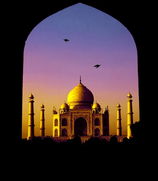 Framed Print : Taj Mahal. Birds flying over Taj Mahal at sunset, India Framed Print : Taj Mahal. Birds flying over Taj Mahal at sunset, India