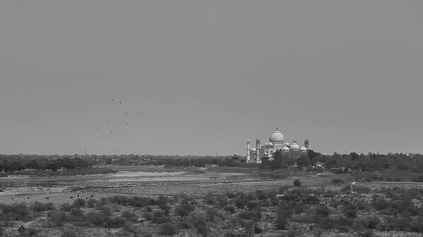 Taj Mahal seen from Agra Fort, Agra, India