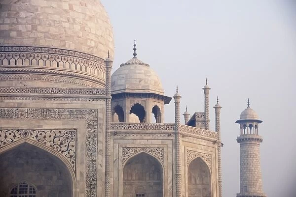 Taj Mahal domes