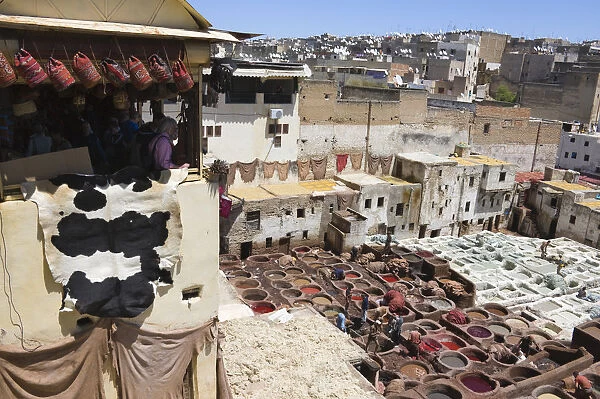 Tannery in the old medina