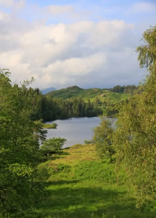 Framed Print : Tarn Hows Sheer Beauty
